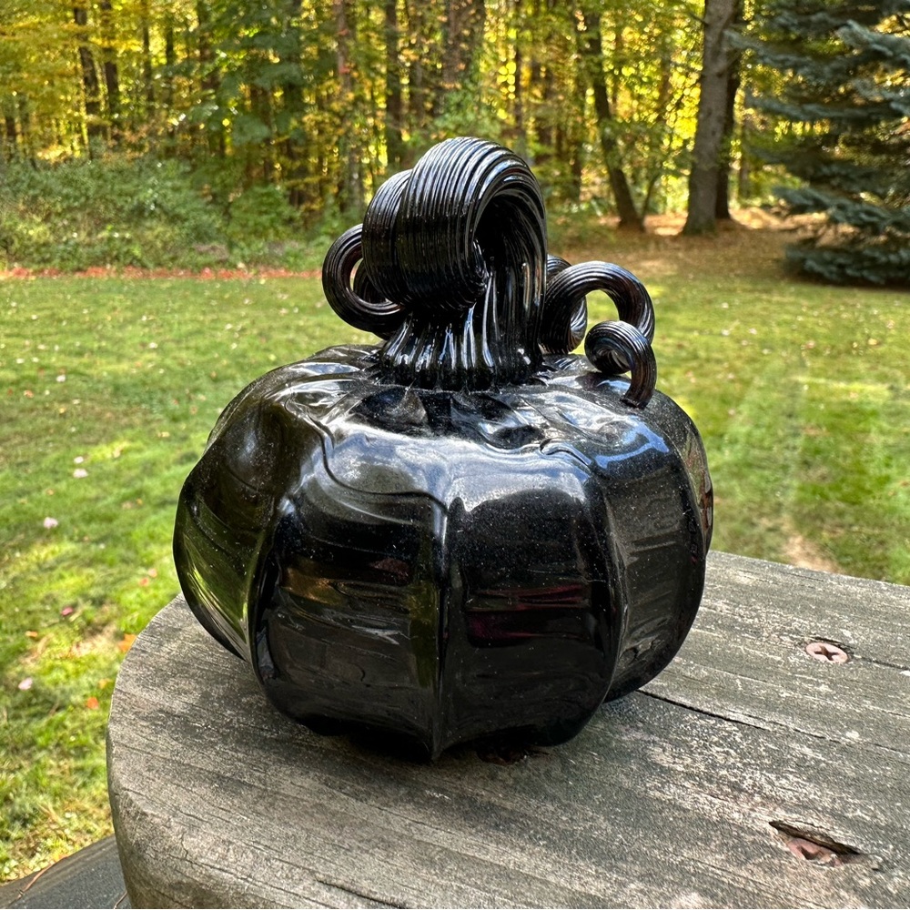 Squat Glossy Black Pumpkin